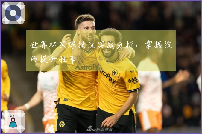 世界杯买球投注实战分析，掌握技巧提升胜率