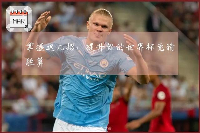 掌握这几招，提升你的世界杯竞猜胜算