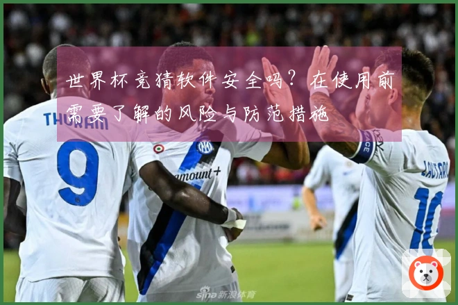 世界杯竞猜软件安全吗？在使用前需要了解的风险与防范措施