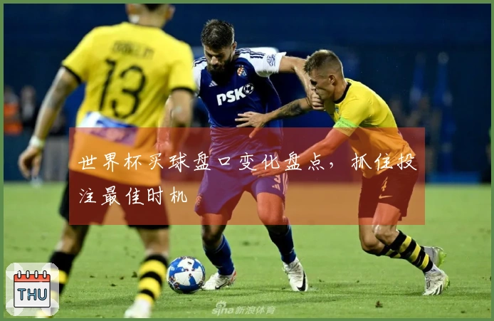 世界杯买球盘口变化盘点，抓住投注最佳时机