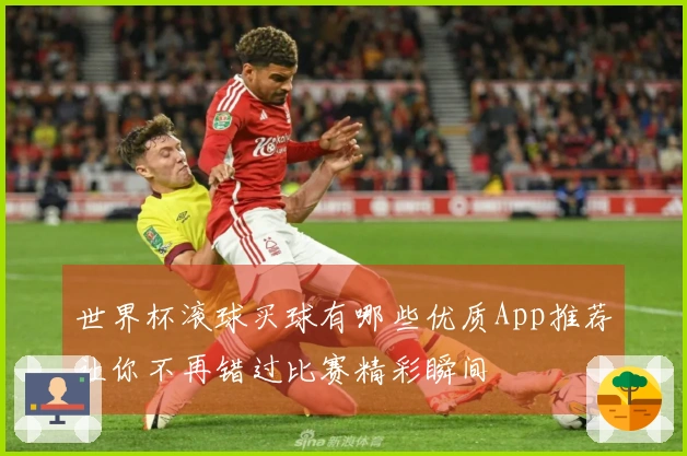 世界杯滚球买球有哪些优质App推荐让你不再错过比赛精彩瞬间