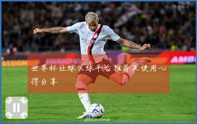 世界杯让球买球平台推荐及使用心得分享