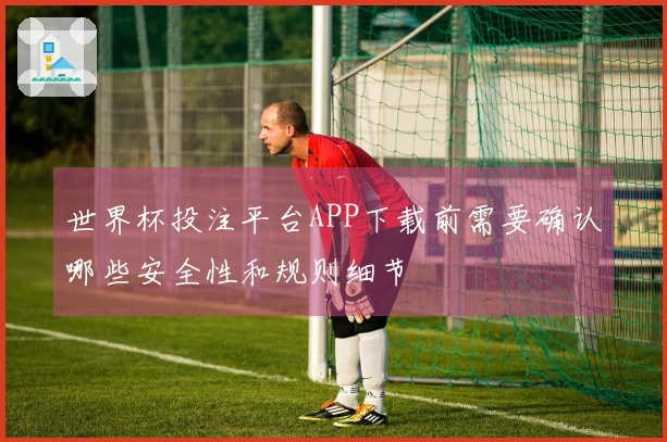 世界杯投注平台APP下载前需要确认哪些安全性和规则细节