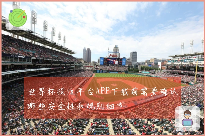 世界杯投注平台APP下载前需要确认哪些安全性和规则细节