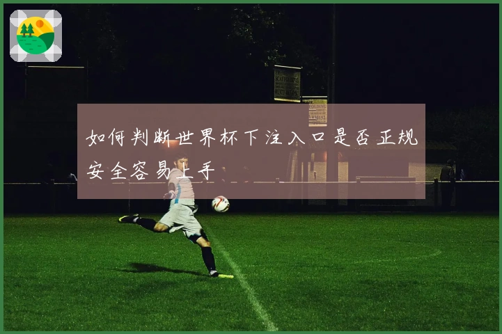 如何判断世界杯下注入口是否正规安全容易上手