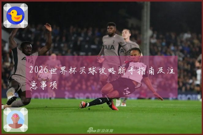 2026世界杯买球攻略新手指南及注意事项