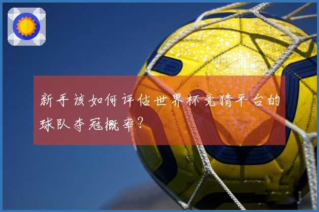 新手该如何评估世界杯竞猜平台的球队夺冠概率？