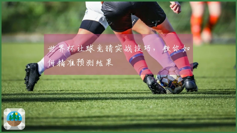 世界杯让球竞猜实战技巧，教你如何精准预测结果